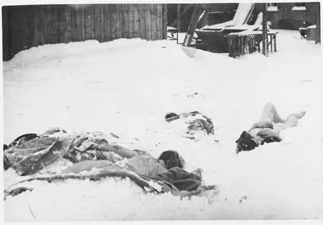 Corpses in the snow